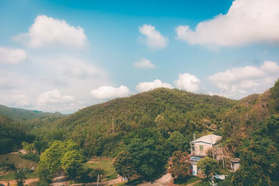 房地产经济学家为何看错了珀斯和墨尔本的房价？